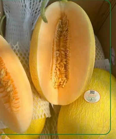 Hình ảnh Dưa Lưới Hoàng Kim 500g