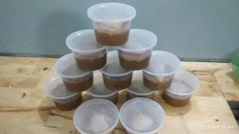 Hình ảnh Pate Hải Phòng