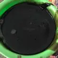 Hình ảnh Sương sáo - ổ