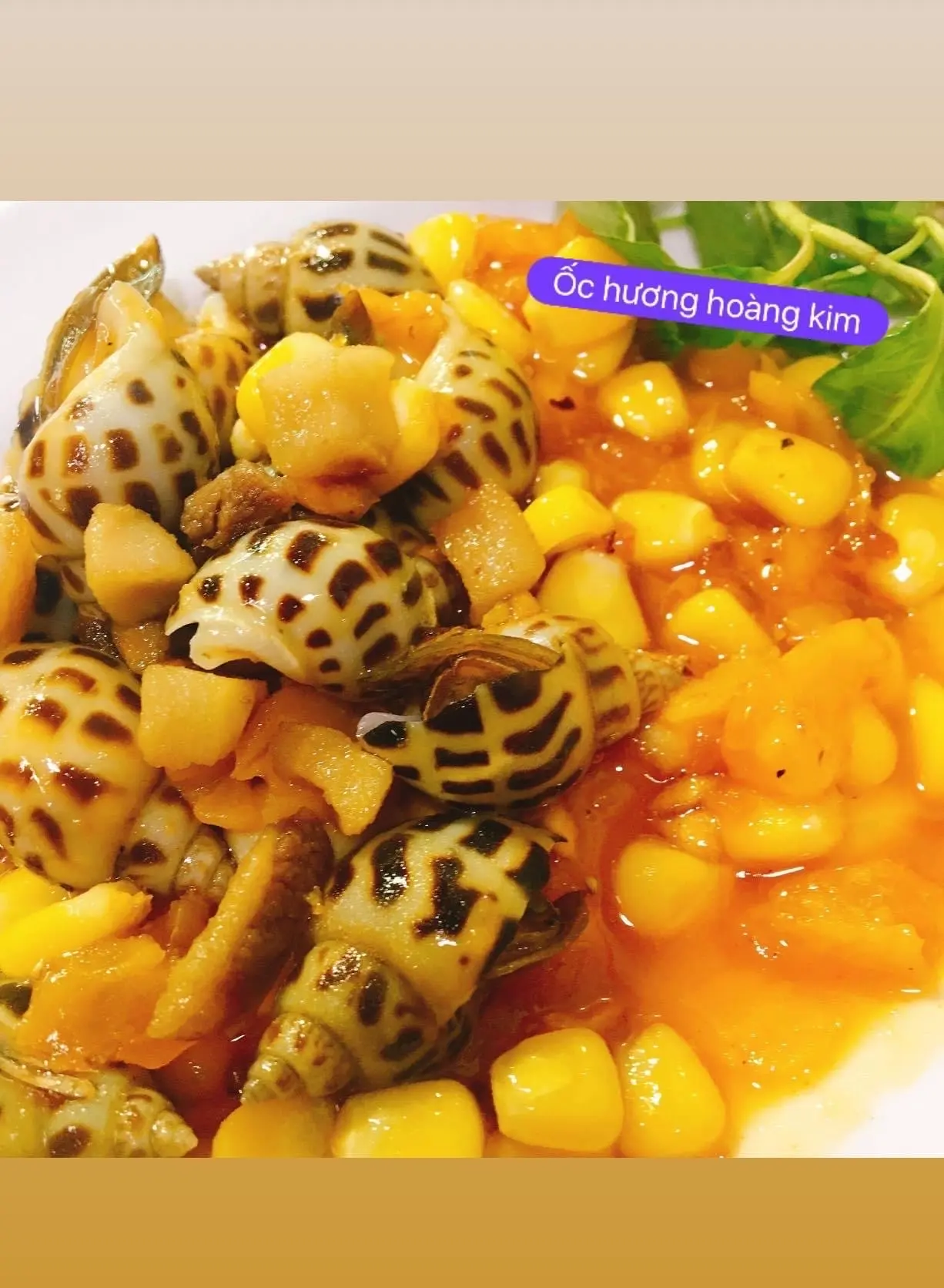Hình ảnh Ốc hương hoàng kim
