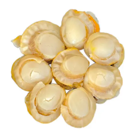 Hình ảnh Sò điệp thêm