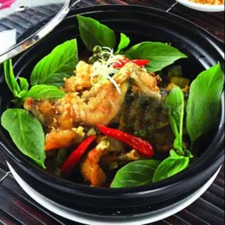 Hình ảnh ẾCH SAPO
