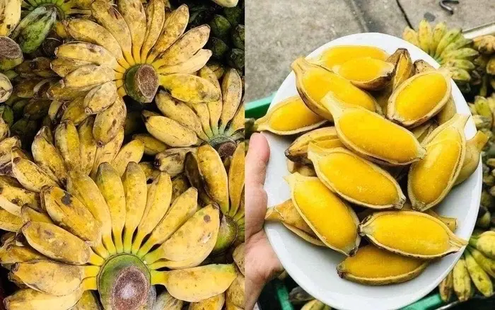 Hình ảnh Chuối sáp dẻo ngọt 1 phần 