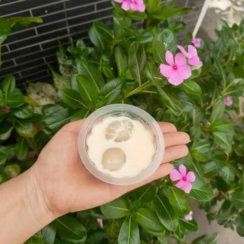 Hình ảnh khúc bạch phomai trái vải