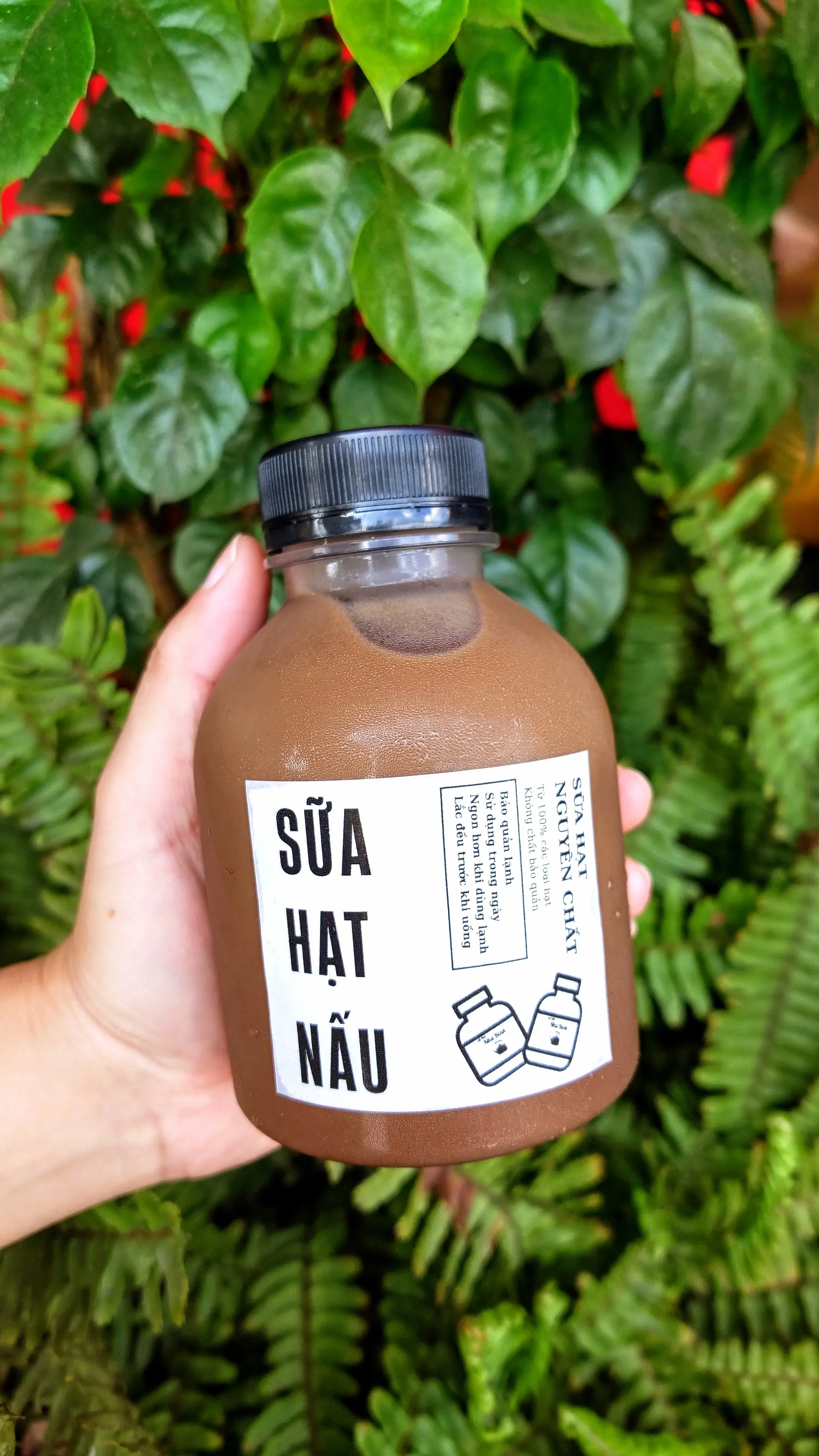 Hình ảnh Sữa hạt Cacao
