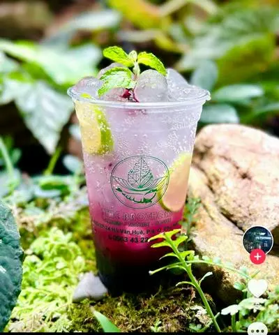 Hình ảnh Soda Việt Quất