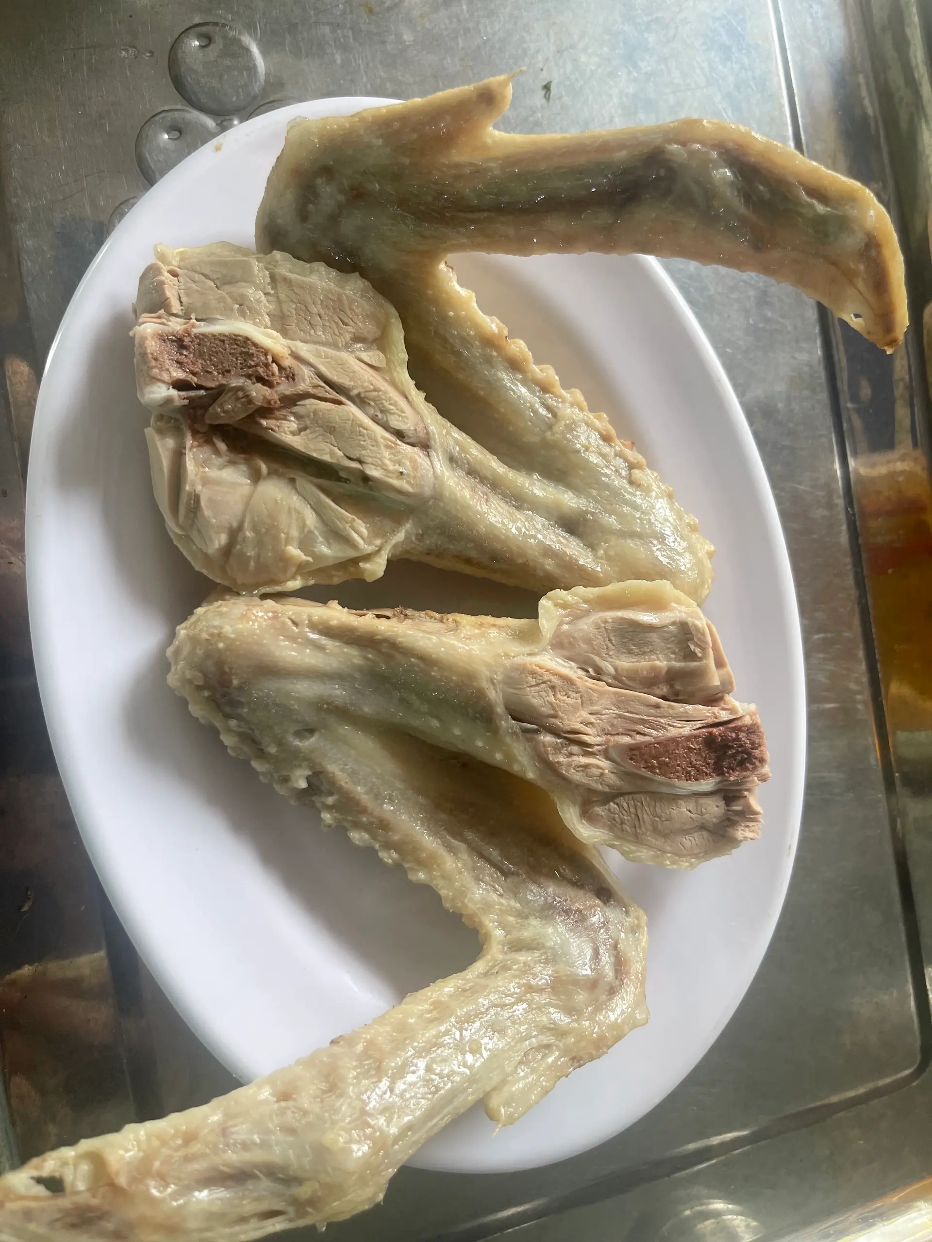 Hình ảnh Cặp Cánh Vịt