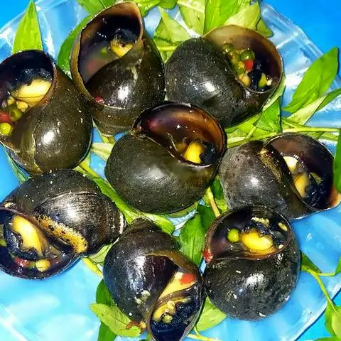 Hình ảnh Ốc bươu nướng tiêu