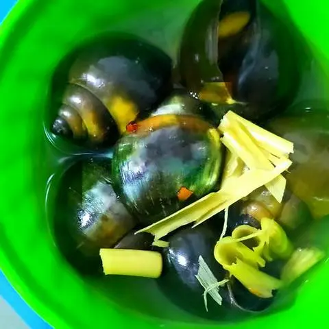 Hình ảnh Ốc bươu hấp sả
