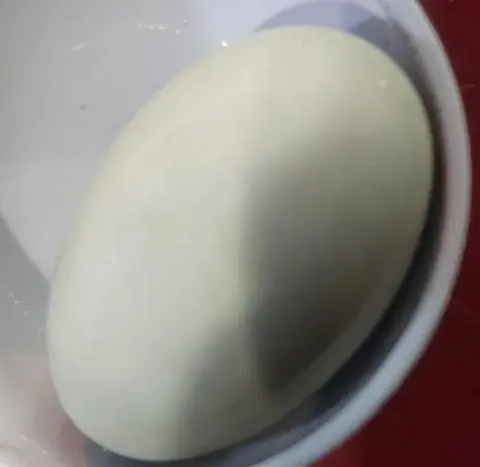Hình ảnh Hột vịt lộn 