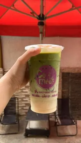 Hình ảnh Matcha sữa gấu
