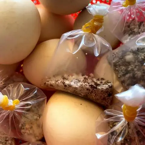 Hình ảnh Hột gà vữa (muối tiêu)