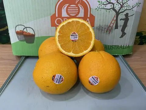 Hình ảnh Cam Úc 1kg