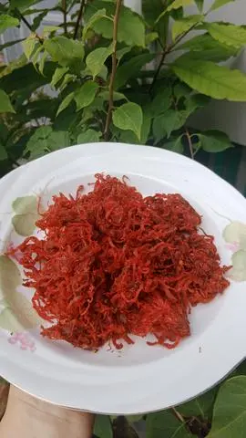 Hình ảnh Khô bò xé nhỏ 