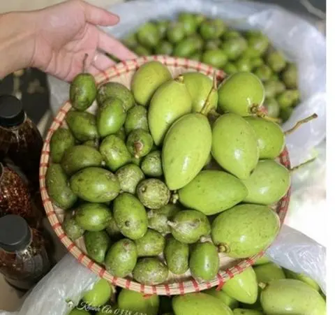 Hình ảnh 500g xoài bao tử + 500g cóc bao tử 