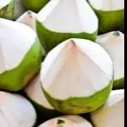 Hình ảnh Dừa Tươi 2 Trái