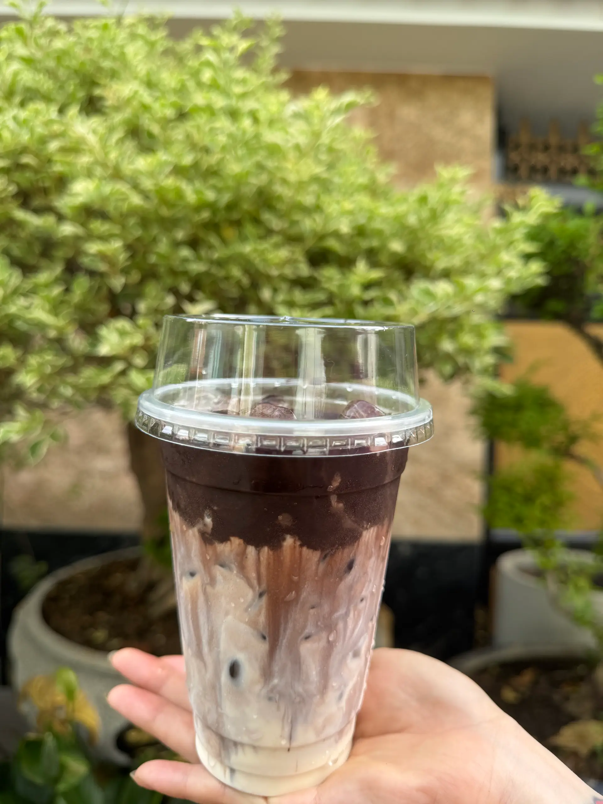 Hình ảnh Cacao sữa Thái