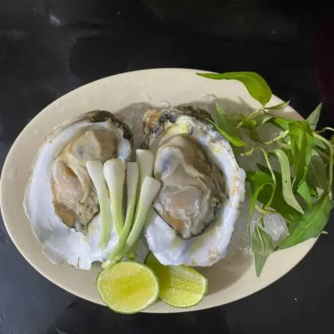Hình ảnh Hàu sống mù tạt