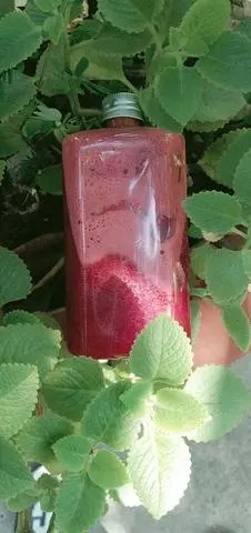 Hình ảnh Detox Đỏ