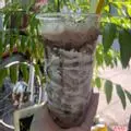 Hình ảnh Trà sữa socola phô mai