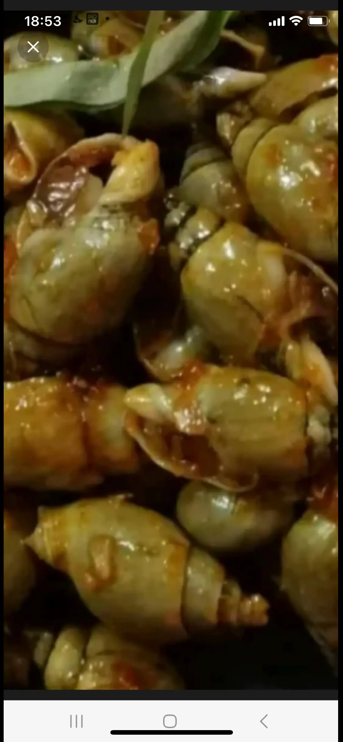 Hình ảnh cà na xào bơ tỏi 
