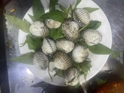 Hình ảnh huyết ng mọi