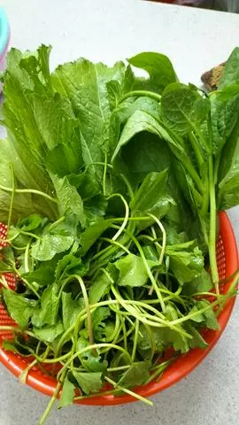Hình ảnh Rau lẩu Thêm 