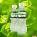 Hình ảnh Nha đam mủ trôm Thái Sơn