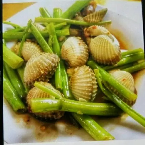 Hình ảnh sò huyết lacot