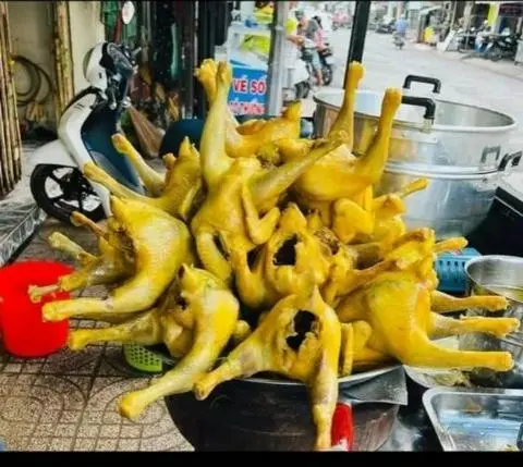 Hình ảnh Gà Hấp Mía Nguyên con chặt sẵn