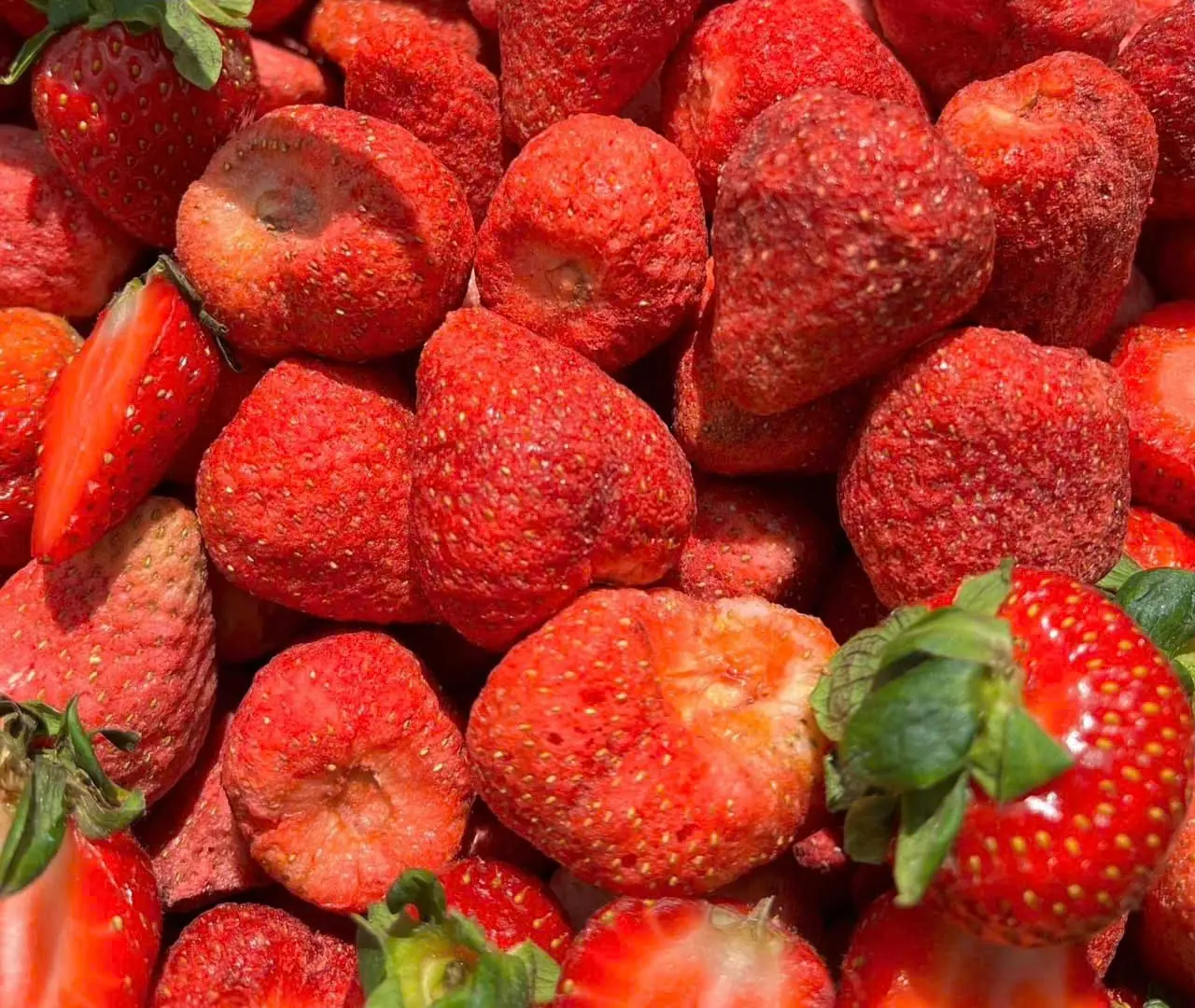 Hình ảnh Dâu Tây Sấy Thăng Hoa Size Lớn 250g