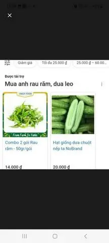 Hình ảnh RAU + DƯA LEO + ĐỒ CHUA