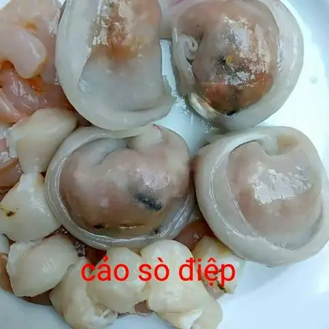 Hình ảnh Há cảo sò điệp viên