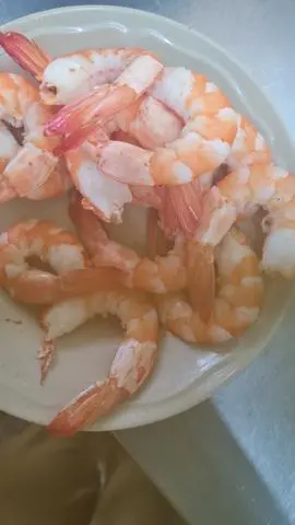 Hình ảnh tôm 