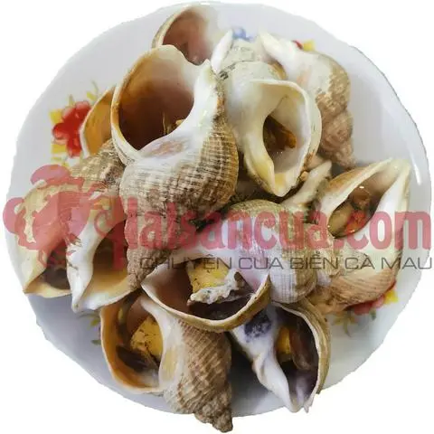 Hình ảnh Óc Bullot hấp sả