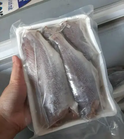 Hình ảnh CÁ ĐÙ CÀ MAU 1 NẮNG (500GR)