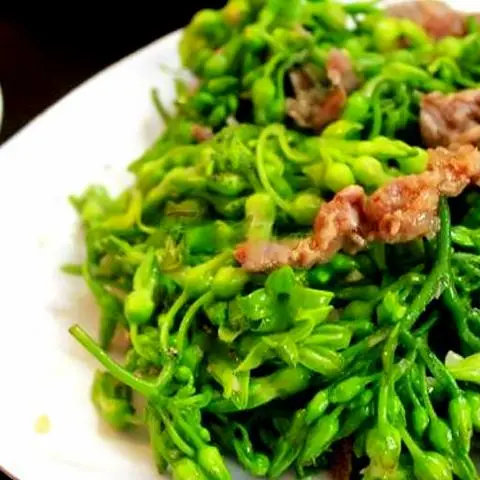 Hình ảnh Bông thiên lý xào bò
