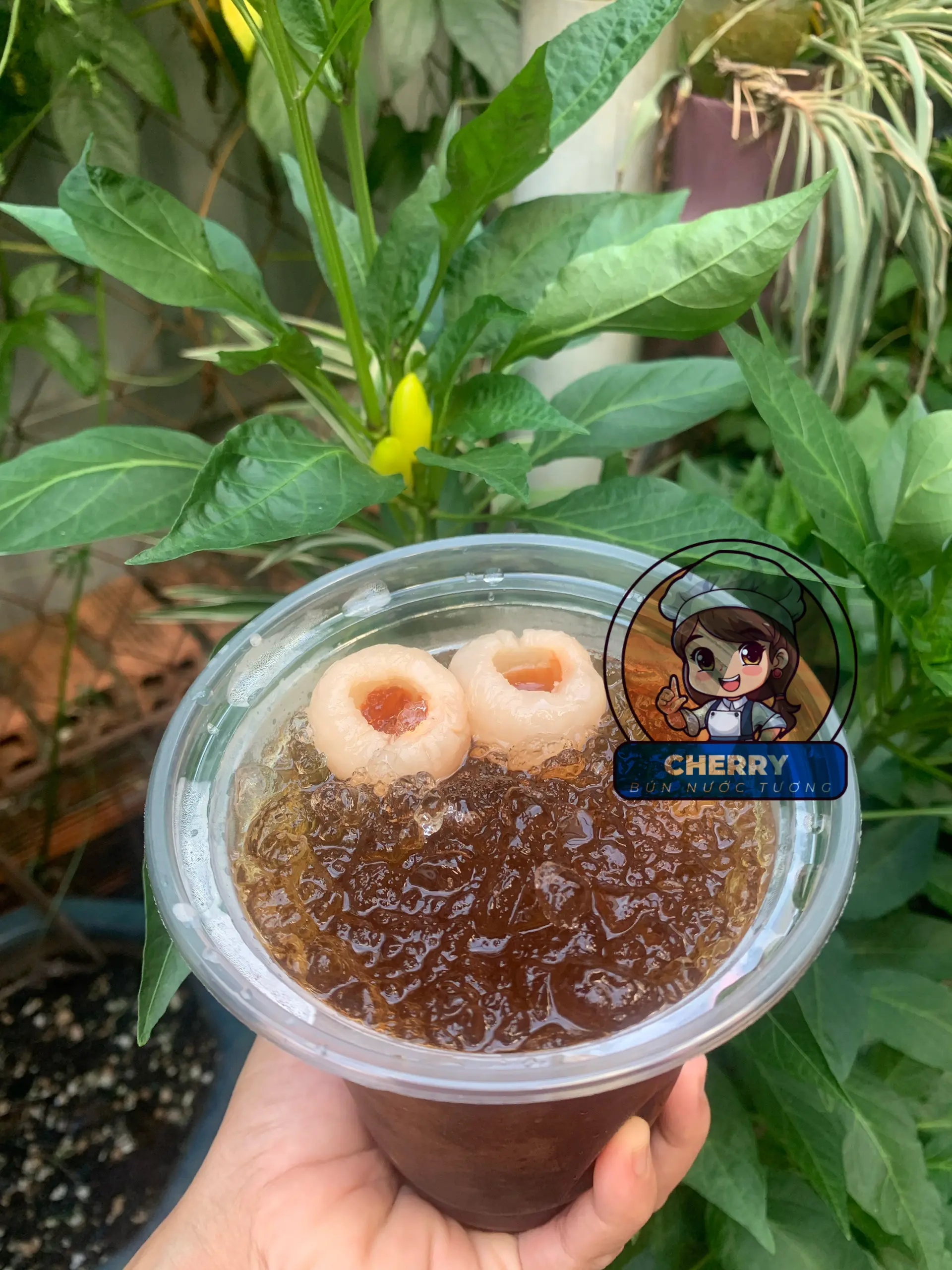 Hình ảnh Trà Vải