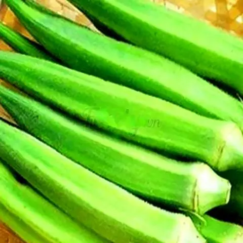 Hình ảnh Đậu bắp