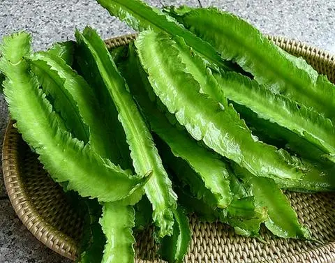 Hình ảnh đậu rồng sống