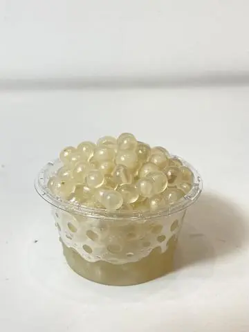 Hình ảnh Hạt nổ củ năng