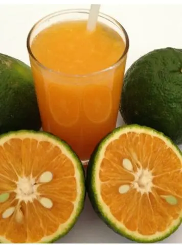Hình ảnh Nước Cam ép Nguyên chất