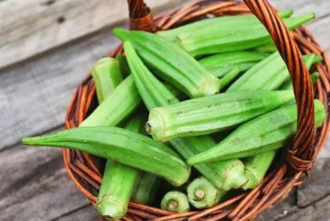 Hình ảnh Đậu bắp chiên - 10 cây