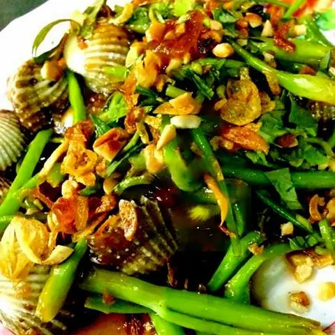 Hình ảnh Sò Huyết Răng Muống