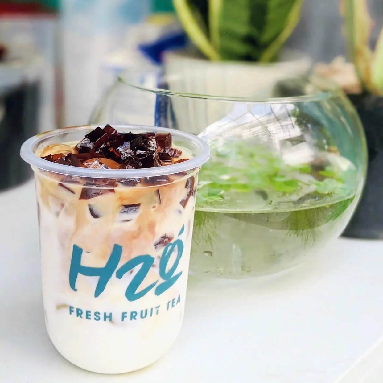 Hình ảnh Sữa Tươi Cà Phê Thạch