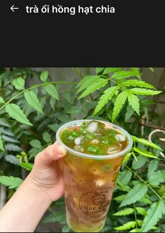 Hình ảnh Trà ổi hồng hạt chia