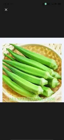 Hình ảnh Đậu bắp