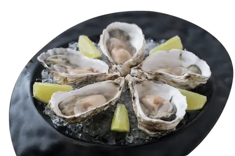 Hình ảnh Sashimi Hàu sữa Chanh