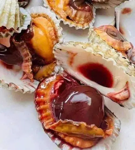 Hình ảnh Sò huyết cồ