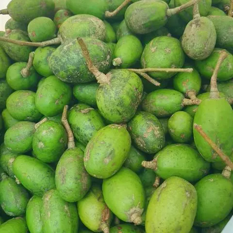 Hình ảnh Trái cóc nguyên vỏ - 1kg